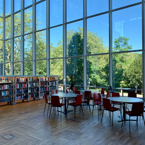 Metal Shield Window Film