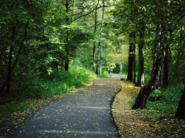 Silver Years, Golden Wisdom: Whole Health for Every Season