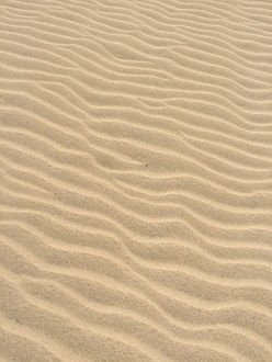 Image by Daniel Straub