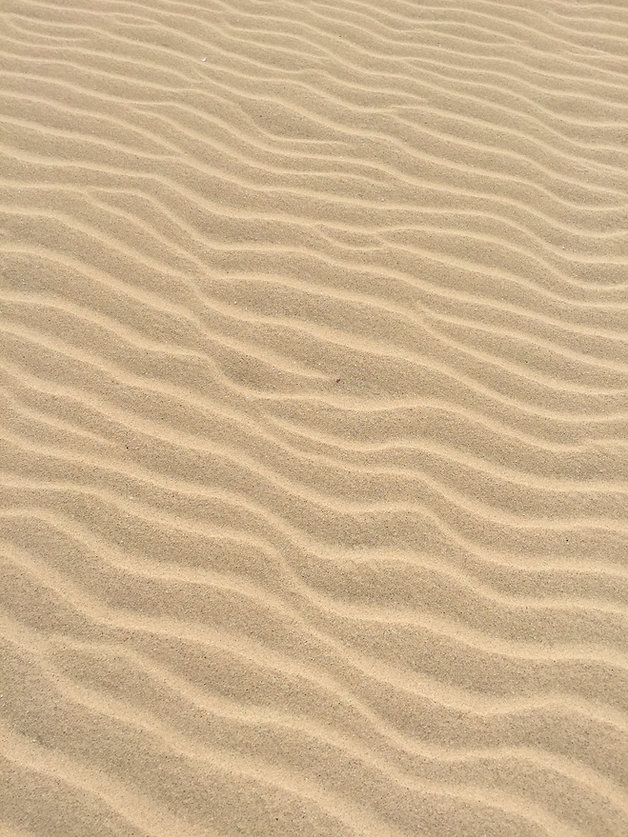 Image by Daniel Straub