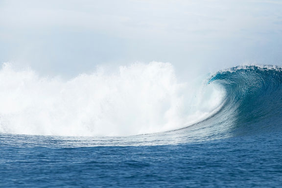 Image by Bradley Hook