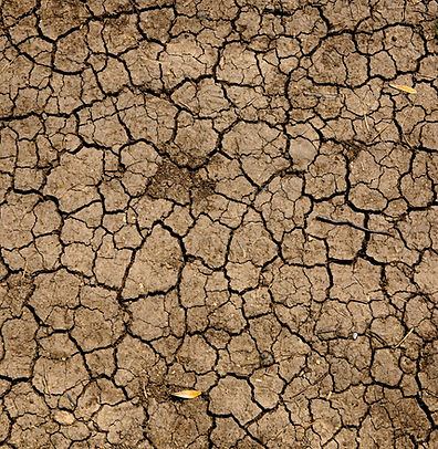 Dry and cracked soil