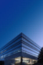 이미지 제공: Sasha Pleshco