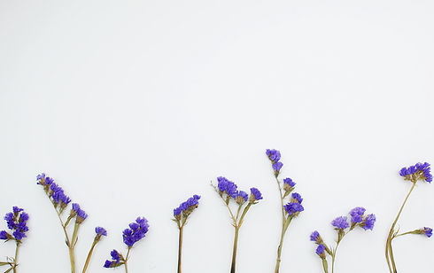 Image by Isabella and Zsa Fischer