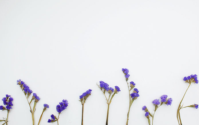 Image by Isabella and Zsa Fischer