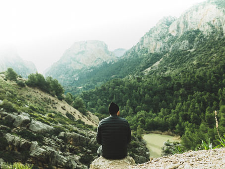 Rooted: Embracing a moment of reflection this week.