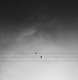 two birds sit on wires against the backdrop of a grey sky