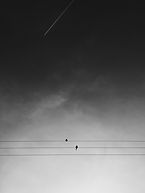Image by Adrian Kirkegaard