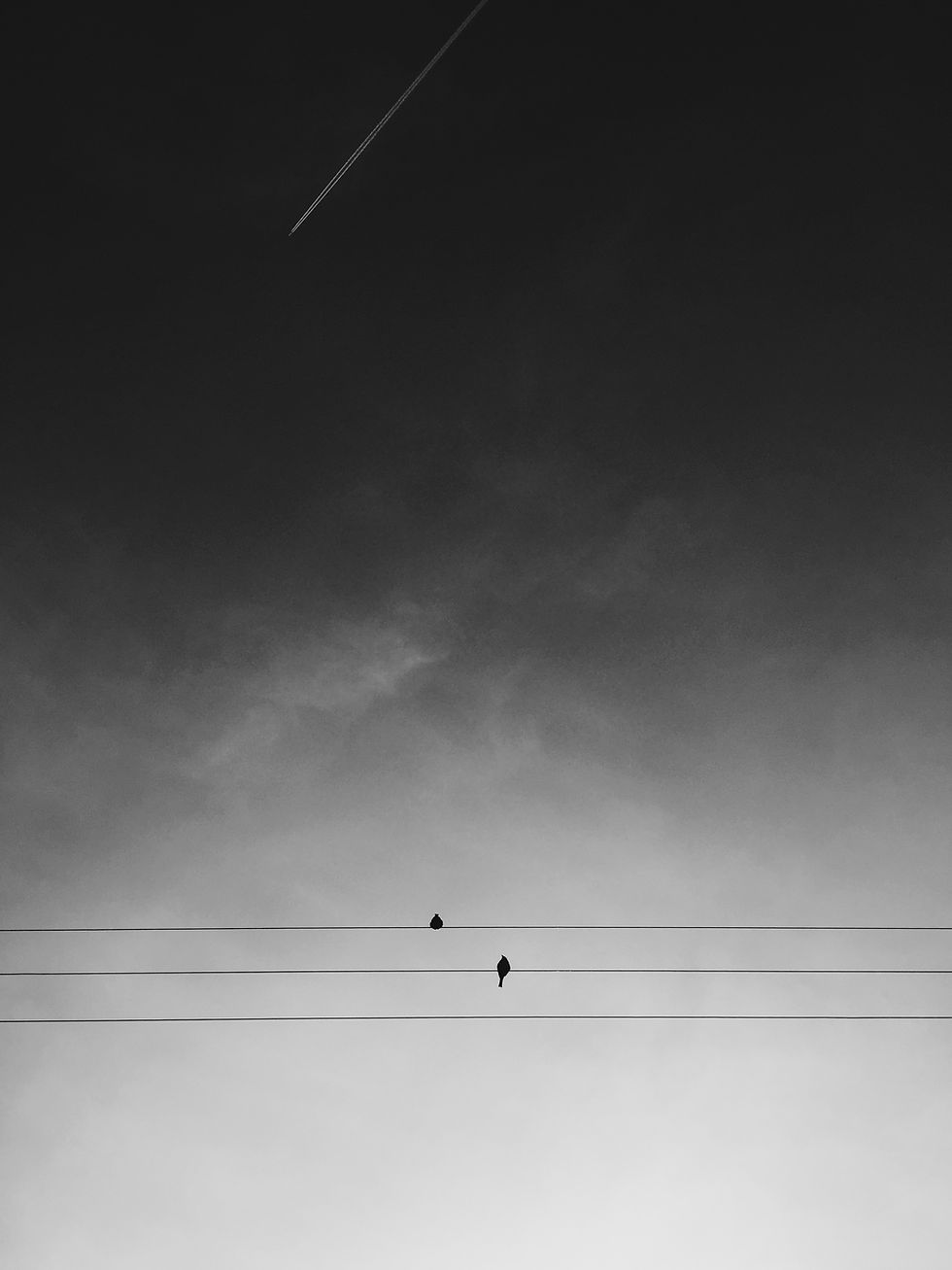 Image by Adrian Kirkegaard