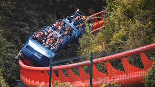 The Roller Coaster Marathon