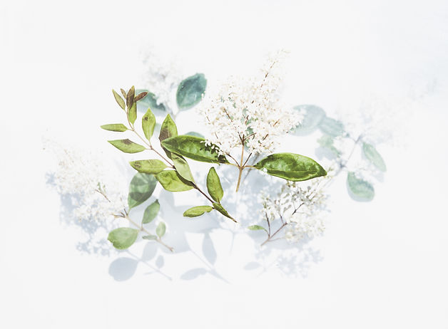 Image by Evie S.