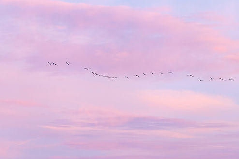 Image by Isaac Quesada