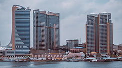 Image by Omar