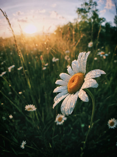 Image by Aaron Burden