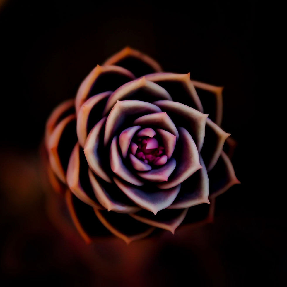 Karma in the Birth Chart