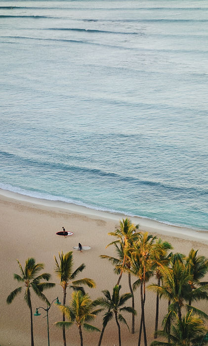 Image by Brandon Cormier