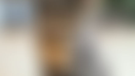 What’s Schrödinger got to do with it?