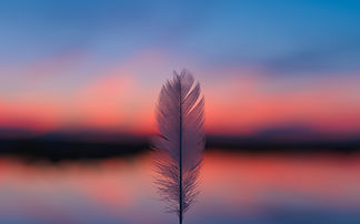 Image by Francis Nie