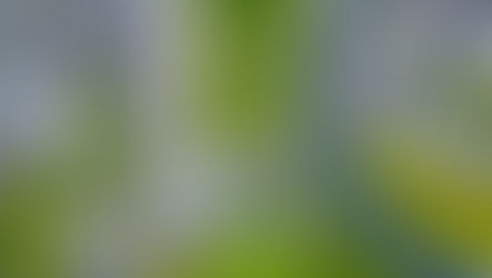 Nieuw: Klimaatplan verplicht bij VLAIO-steunaanvragen 