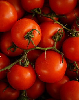 Tomatoes