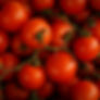 Tomate Cherry Red
