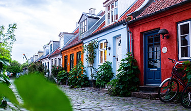 Image by Steffen Muldbjerg