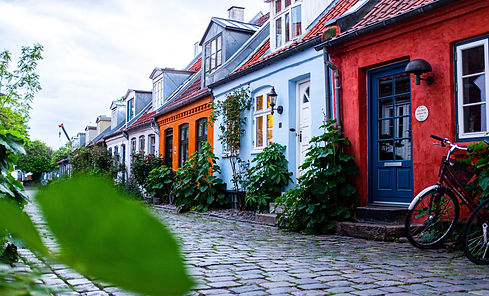 Image by Steffen Muldbjerg