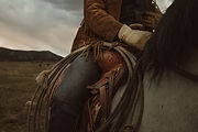 Image by Taylor Brandon