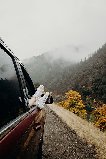 Image by Tamara Menzi