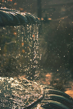 Image by John Wilson