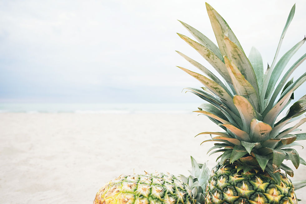 Image by Pineapple Supply Co.