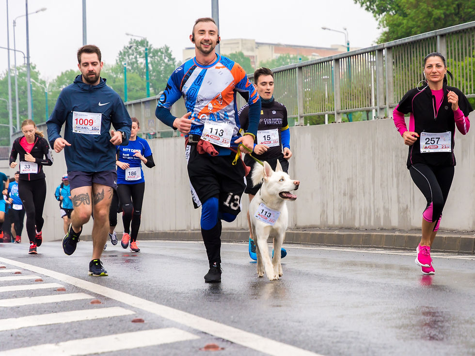Group of people running a marathon and training muscular endurance with higher rep ranges