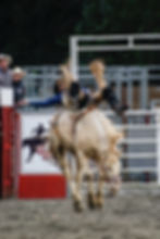 bareback bronc rider and cowboy in a rodeo arena Image by Chris Montgomery