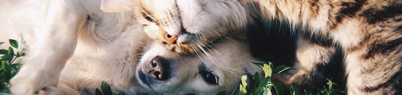 Image by Krista Mangulsone