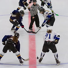 Hockey is amazing