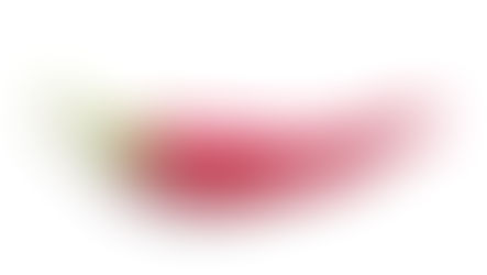 Job Offer - Project Manager - Executive Office (Chongqing)