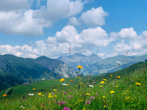 Savoring Summer: Ritual, Presence, and the Art of Being Here
