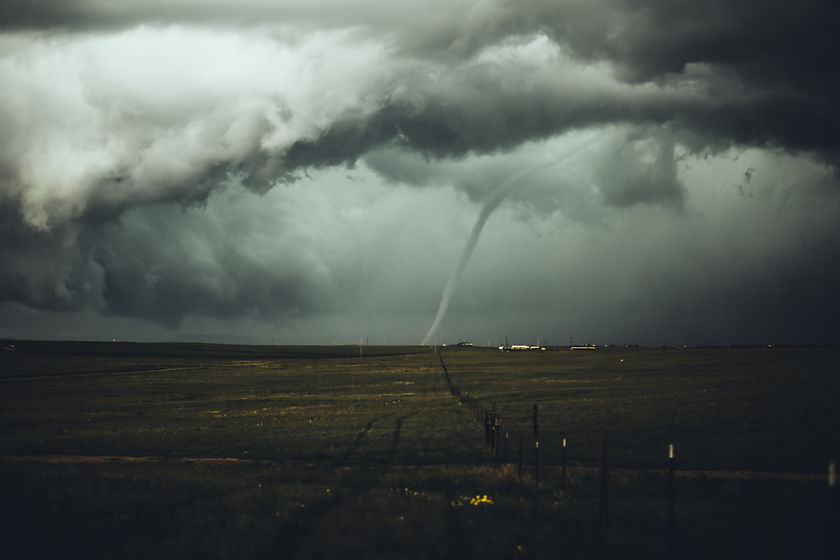 Image by Nikolas Noonan