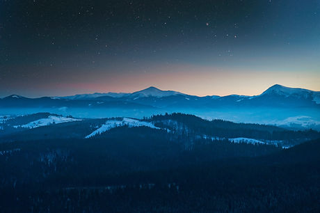 Image by Alexandr Podvalny