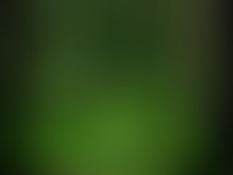 Forest Bathing and Sexy Donuts