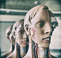 Image by Pierre Acobas