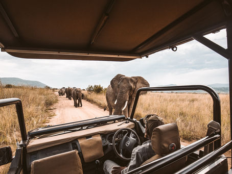 South Africa in 10 days - From Cape Town's Beaches to the wild animals of Kruger Park