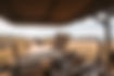 Tour Operator Safety Standards in <mark style="font-weight:bold;">Africa: What European Agencies Must Verify