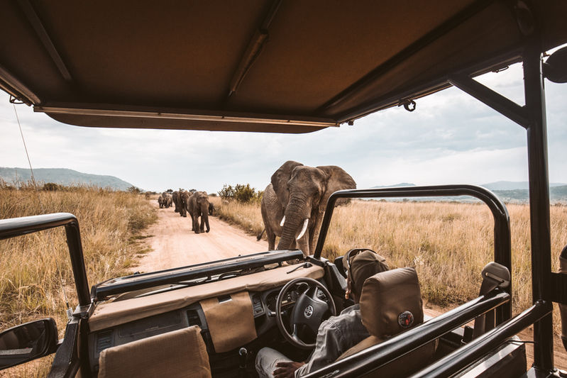 Which Type of Luxury Holiday is Right for You?