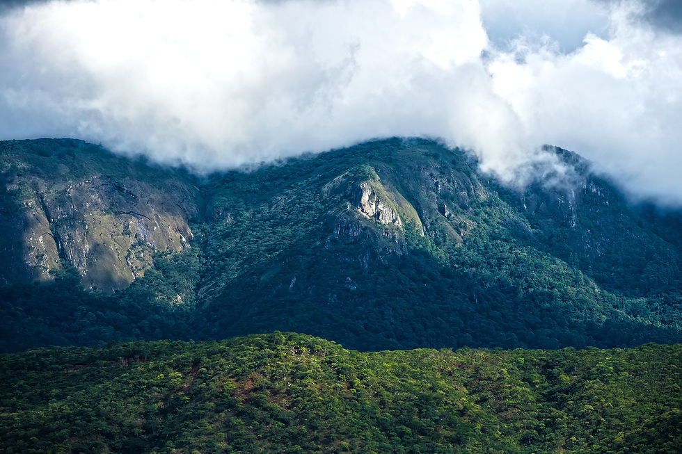 Image by Tatenda Mapigoti