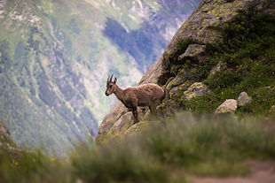 Image de Harry Burk