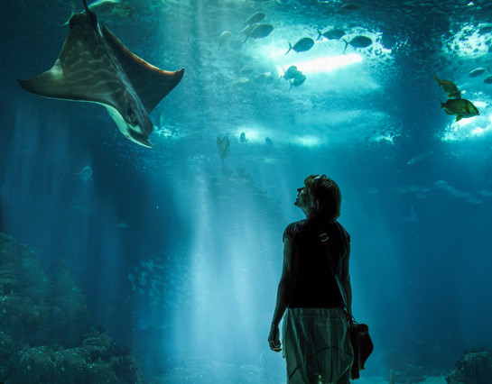 Image by Vidar Nordli-Mathisen