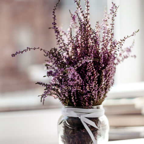 Exploring the Timeless Wisdom of Holistic Traditions