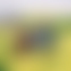 Five Tips to Bring Your Estate Plan to Life