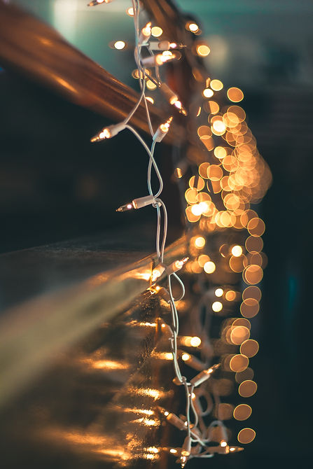 Image by Kevin Fitzgerald